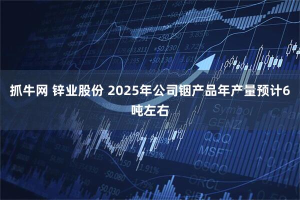 抓牛网 锌业股份 2025年公司铟产品年产量预计6吨左右