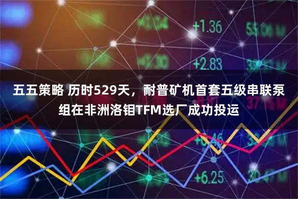 五五策略 历时529天，耐普矿机首套五级串联泵组在非洲洛钼TFM选厂成功投运