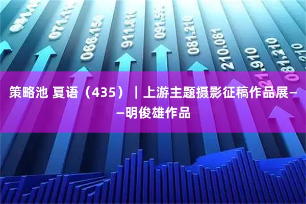 策略池 夏语（435）｜上游主题摄影征稿作品展——明俊雄作品